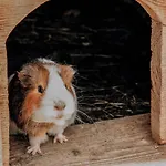 Biohof Ebengut