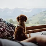 شقة فندقية Biohof Ebengut ماريا ألم ام شتاينر