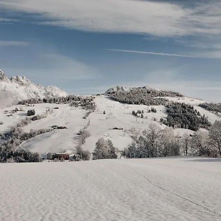Lägenhetshotell Biohof Ebengut 4*