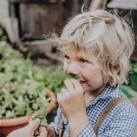 Biohof Ebengut Ξενοδοχείο με διαμερίσματα Maria Alm am Steinernen Meer