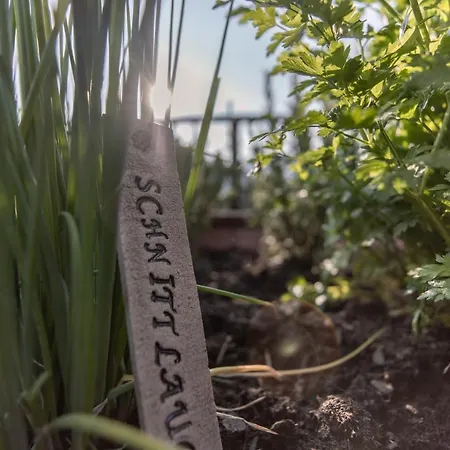 Biohof Ebengut Ξενοδοχείο με διαμερίσματα Maria Alm am Steinernen Meer