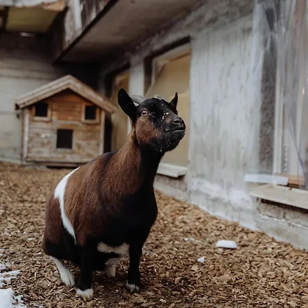 Biohof Ebengut Ξενοδοχείο με διαμερίσματα 4*