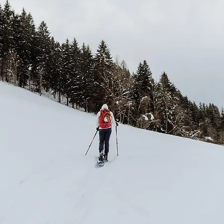 Biohof Ebengut 4* Maria Alm am Steinernen Meer