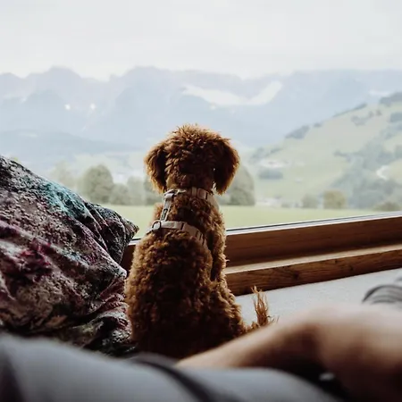 Lägenhetshotell Biohof Ebengut Maria Alm am Steinernen Meer