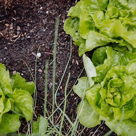 Biohof Ebengut Ξενοδοχείο με διαμερίσματα 4*