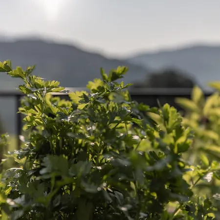 Biohof Ebengut شقة فندقية