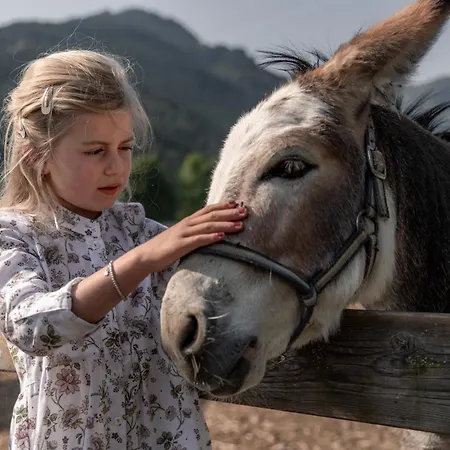 Biohof Ebengut شقة فندقية ماريا ألم ام شتاينر