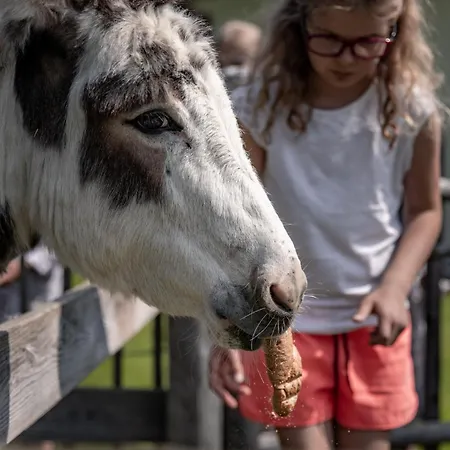 Biohof Ebengut Lägenhetshotell 4*