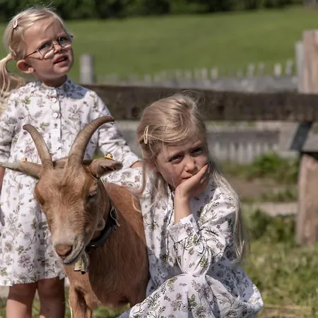 Ξενοδοχείο με διαμερίσματα Biohof Ebengut Maria Alm am Steinernen Meer