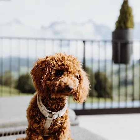 Biohof Ebengut 4* Maria Alm am Steinernen Meer