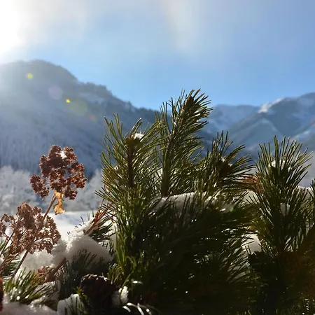 Lägenhetshotell Biohof Ebengut Maria Alm am Steinernen Meer