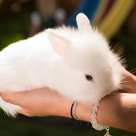 Biohof Ebengut Ξενοδοχείο με διαμερίσματα Maria Alm am Steinernen Meer