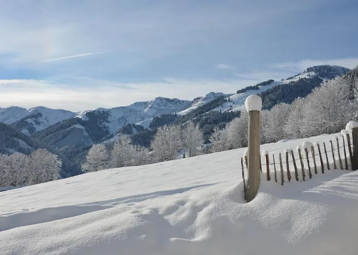 Biohof Ebengut Aparthotel Maria Alm am Steinernen Meer