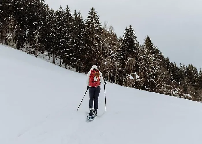 Biohof Ebengut 4* Maria Alm am Steinernen Meer