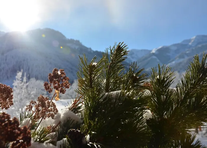 Aparthotel Biohof Ebengut Maria Alm am Steinernen Meer